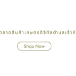 cropped-cropped-ตลาดสินค้าเกษตรดิจิทัลตำบลเจ้าท่า-1.png